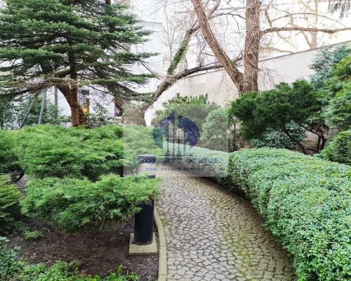 Śródmieście: lokal biurowy na wynajem