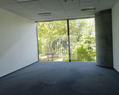 Śródmieście: lokal biurowy na wynajem
