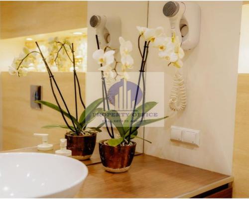 Wola: lokal na wynajem