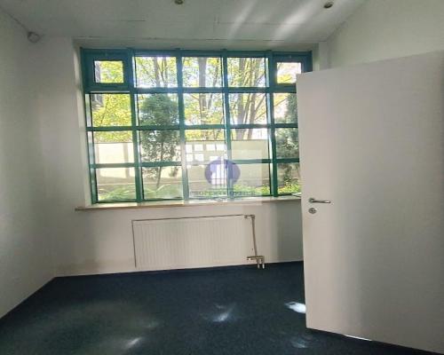 Mokotów: lokal handlowo-usługowy na wynajem