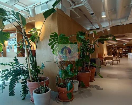 Śródmieście: biuro serwisowane na wynajem