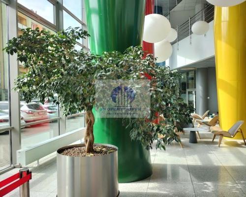 Wola: biuro serwisowane 28,60 m2 na wynajem