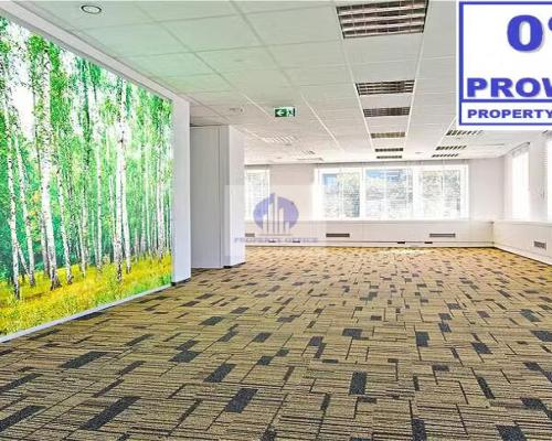 Ochota: lokal biurowy 368 m2 na wynajem