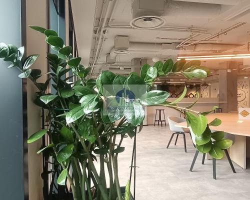 Śródmieście: umeblowane biuro na wynajem