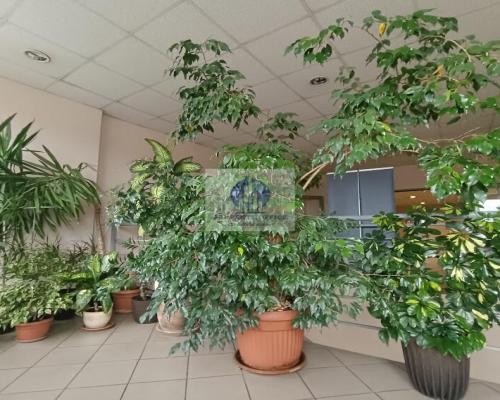 Praga Północ: lokal biurowy 51,43 m2 do wynajęcia