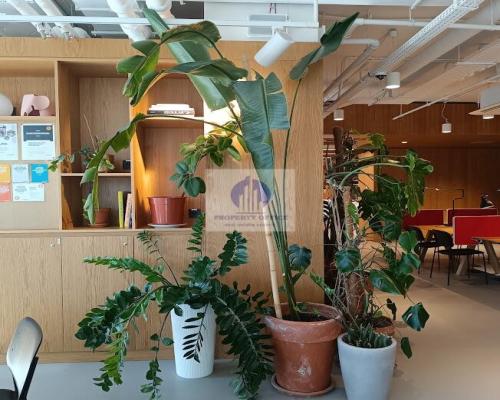 Warszawa Śródmieście: biurko w coworkingu na wynajem