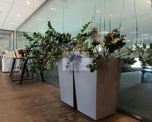 Śródmieście: biurko w coworkingu na wynajem