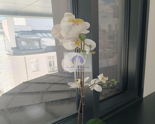 Śródmieście: biuro serwisowane