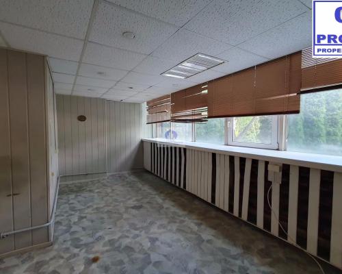 Bielany: magazyn 38,85 m2 do wynajęcia