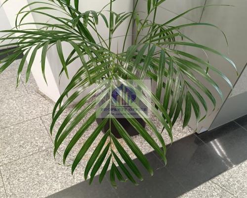 Targówek: lokal biurowy 35m2 na wynajem