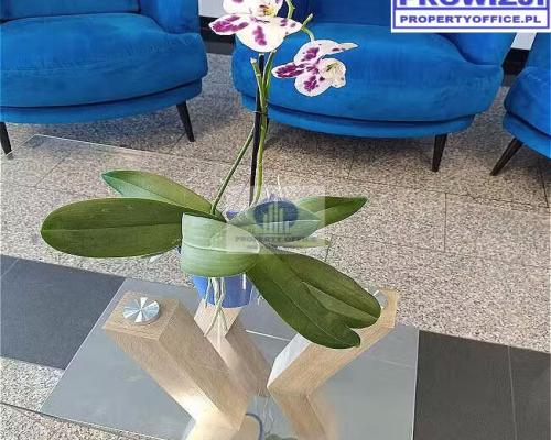 Targówek: lokal biurowy 220m2 na wynajem