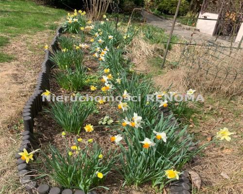 Działka budowlana 2414 m² z domkiem letniskowym –