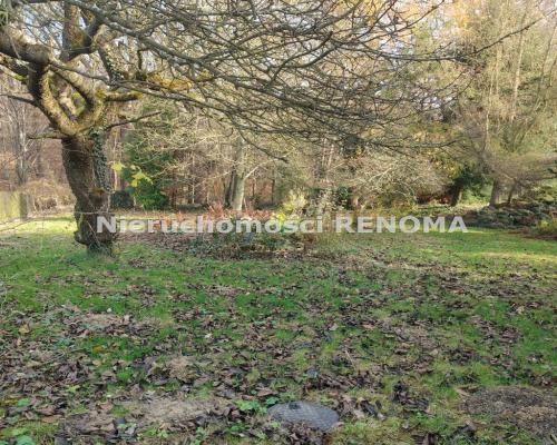 Działka budowlana 2414 m² z domkiem letniskowym –