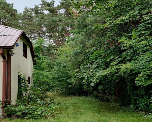 działka w Michalinie