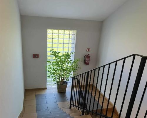 Mieszkanie z ogródkiem na os.Obrońców Pokoju