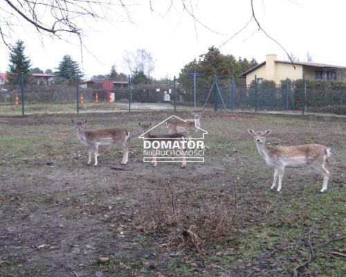 Dom z działką ok. 4000 m2 Prądocin