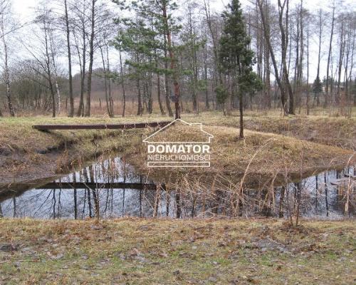 Dom z działką ok. 4000 m2 Prądocin