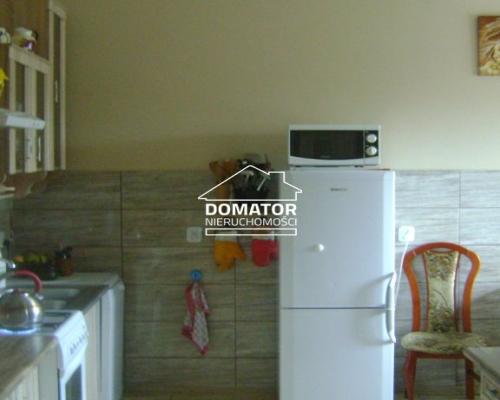 Dom wolnostojący - 2 osobne mieszkania Tryszczyn