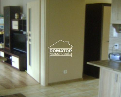 Dom wolnostojący - 2 osobne mieszkania Tryszczyn