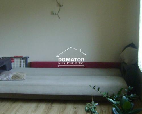 Dom wolnostojący - 2 osobne mieszkania Tryszczyn