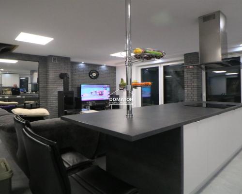 Dom z lokalem użytkowym 380 m2 Lisi Ogon