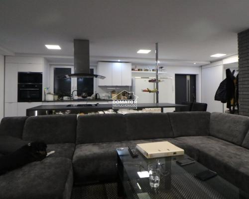 Dom z lokalem użytkowym 380 m2 Lisi Ogon