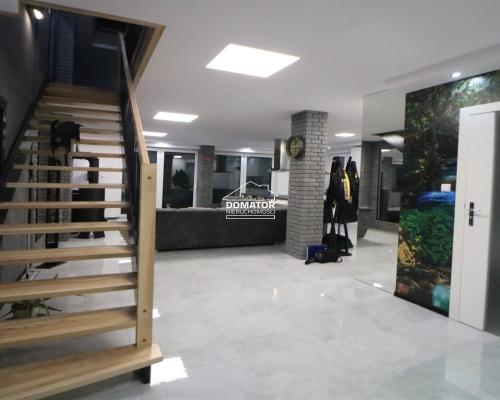 Dom z lokalem użytkowym 380 m2 Lisi Ogon