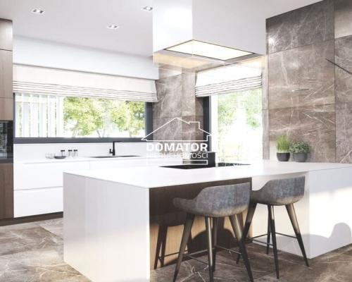 Nowoczesna Willa w Niemczu