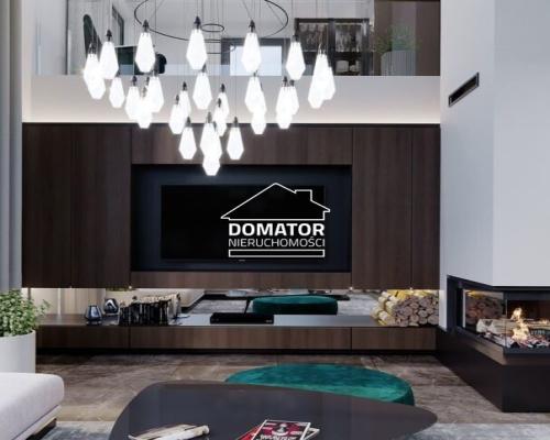 Nowoczesna Willa w Niemczu