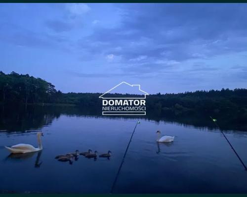 Domek letniskowy, Samociążek