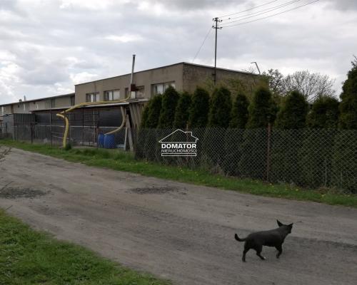 Bydynek gospodarczy/warsztat 140m2 w Gąbinie