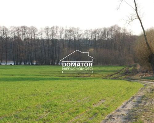 Działka 21000 m2 w Borach Tucholskich.