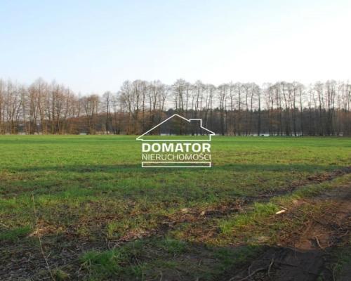 Działka 21000 m2 w Borach Tucholskich.