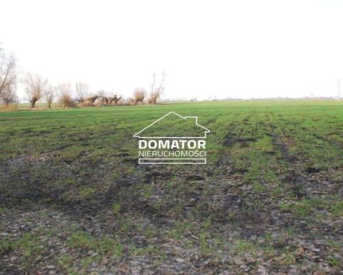 Działka 21000 m2 w Borach Tucholskich.