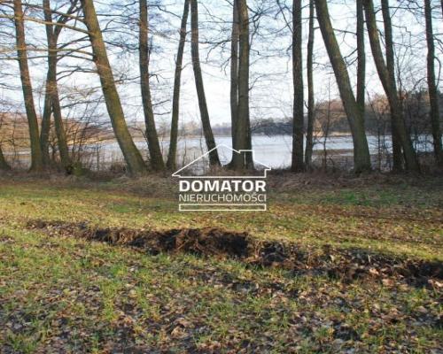 Działka 21000 m2 w Borach Tucholskich.