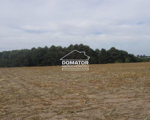 Działki Wierzchucinek