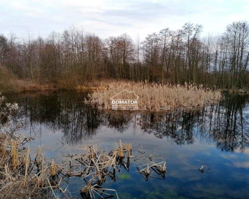 Działka rekreacyjna z własnym stawem
