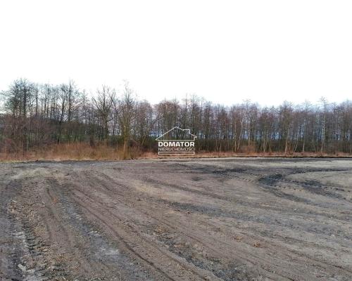 Działka rekreacyjna z własnym stawem