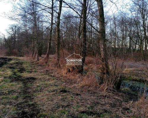 Działka rekreacyjna z własnym stawem