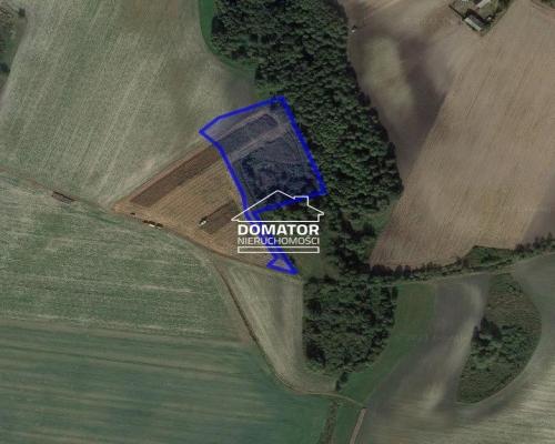 Działka rekreacyjna z własnym stawem