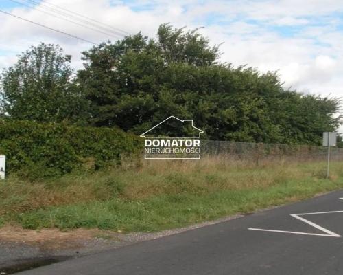 Działka 7360m2 w Jordanowie