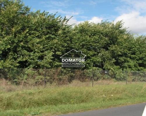 Działka 7360m2 w Jordanowie