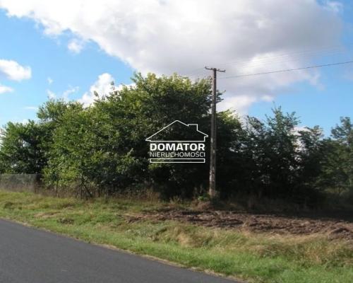 Działka 7360m2 w Jordanowie