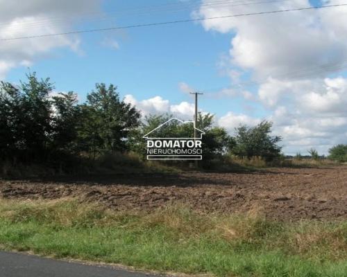 Działka 7360m2 w Jordanowie