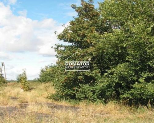 Działka 7360m2 w Jordanowie