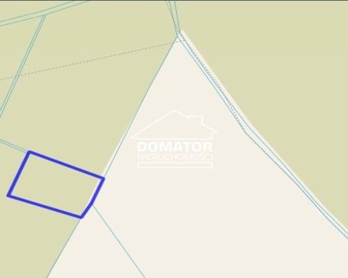 Dziłka leśna z warunkami zabudowy 1400 m2!