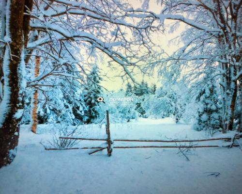 Dziłka leśna z warunkami zabudowy 1400 m2!