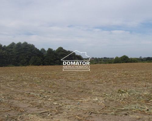 Działki Wierzchucinek