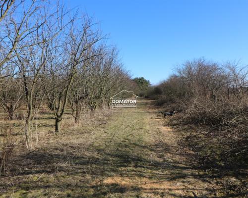 Działka 3012 m2 Tryszczyn