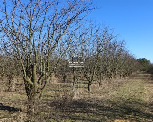 Działka 3012 m2 Tryszczyn